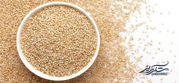 کنجد و فرآورده‌های کنجدی؛ گنجینه‌ای از طعم، سلامتی و خواص بی‌نظیر