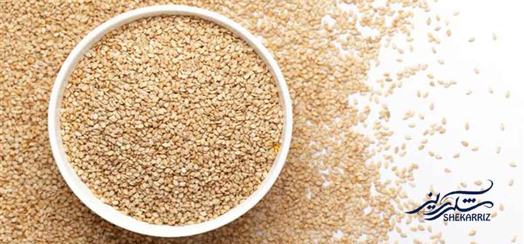 کنجد و فرآورده‌های کنجدی؛ گنجینه‌ای از طعم، سلامتی و خواص بی‌نظیر